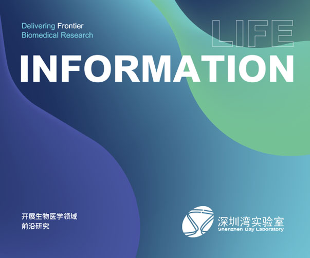 Melrose Coffee洋派咖啡廳品牌視覺識(shí)別與室內(nèi)設(shè)計(jì)